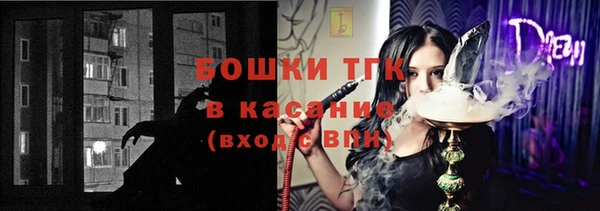 соль ск Няндома