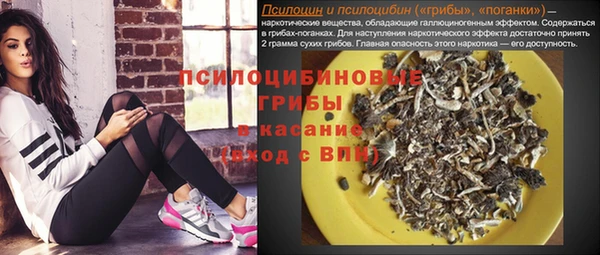 spice Бронницы