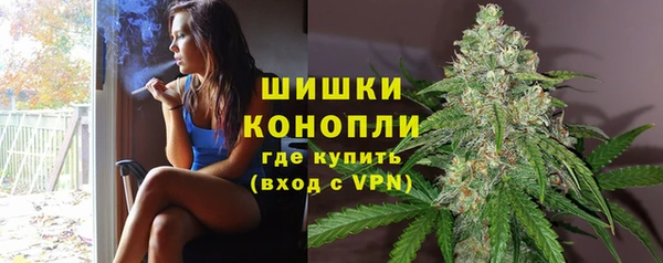 соль ск Няндома