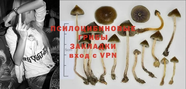 альфа пвп Нязепетровск