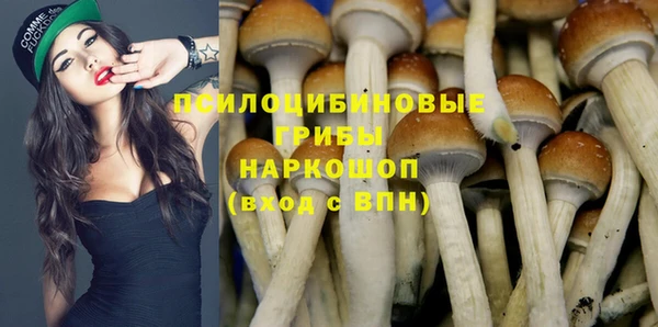 соль ск Няндома